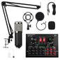 Condenser Microphone Set for Recording