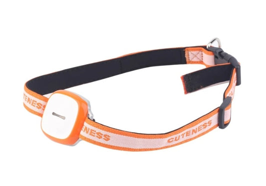 Collier GPS Intelligent pour Animaux