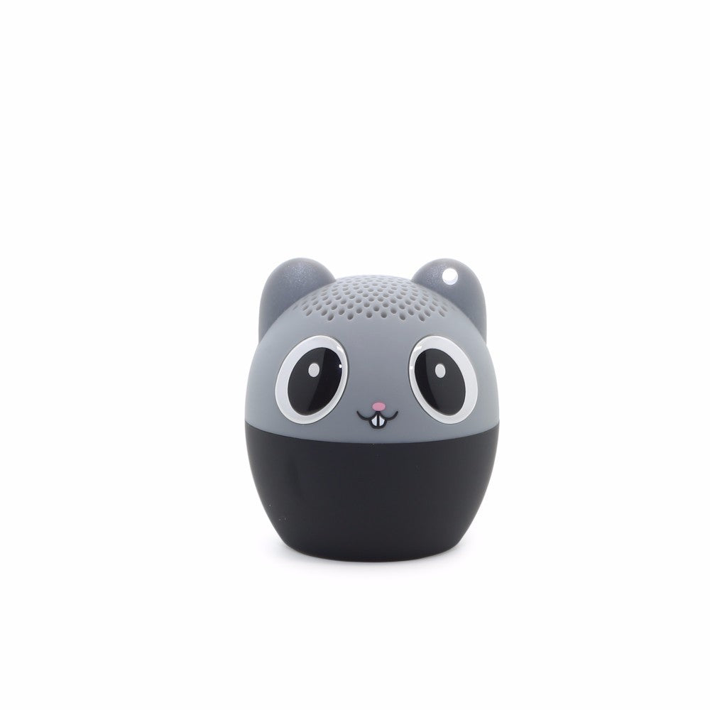 Haut-parleur Bluetooth