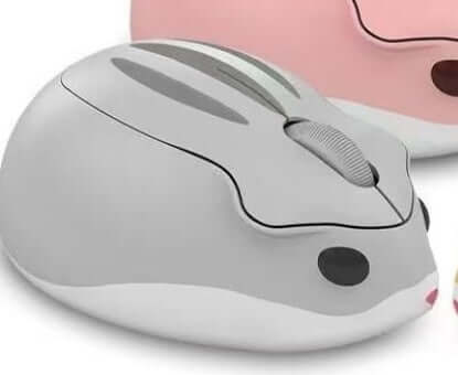 Souris Sans Fil Universelle Silencieuse