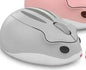 Souris Sans Fil Universelle Silencieuse