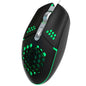 Cooling Hole Mouse