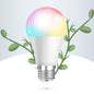 Ampoule LED Écoénergétique