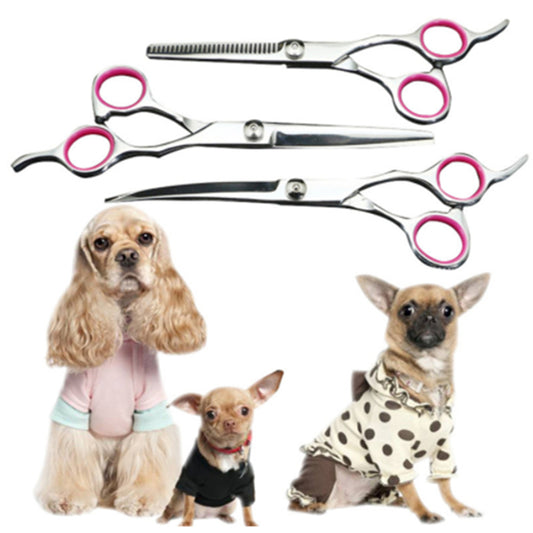 Ciseaux de Toilettage pour Animaux