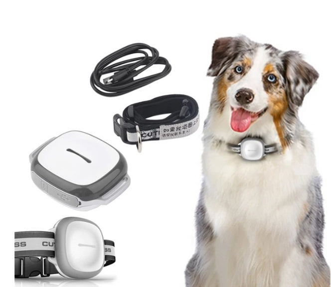 Collier GPS Intelligent pour Animaux