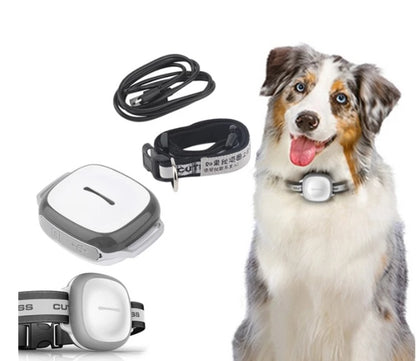 Collier GPS Intelligent pour Animaux