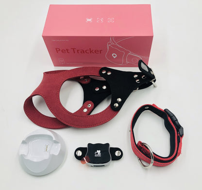 Collier GPS Intelligent