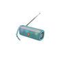 Radio Subwoofer Sans Fil avec Lumières Colorées – Enceinte Bluetooth Portable