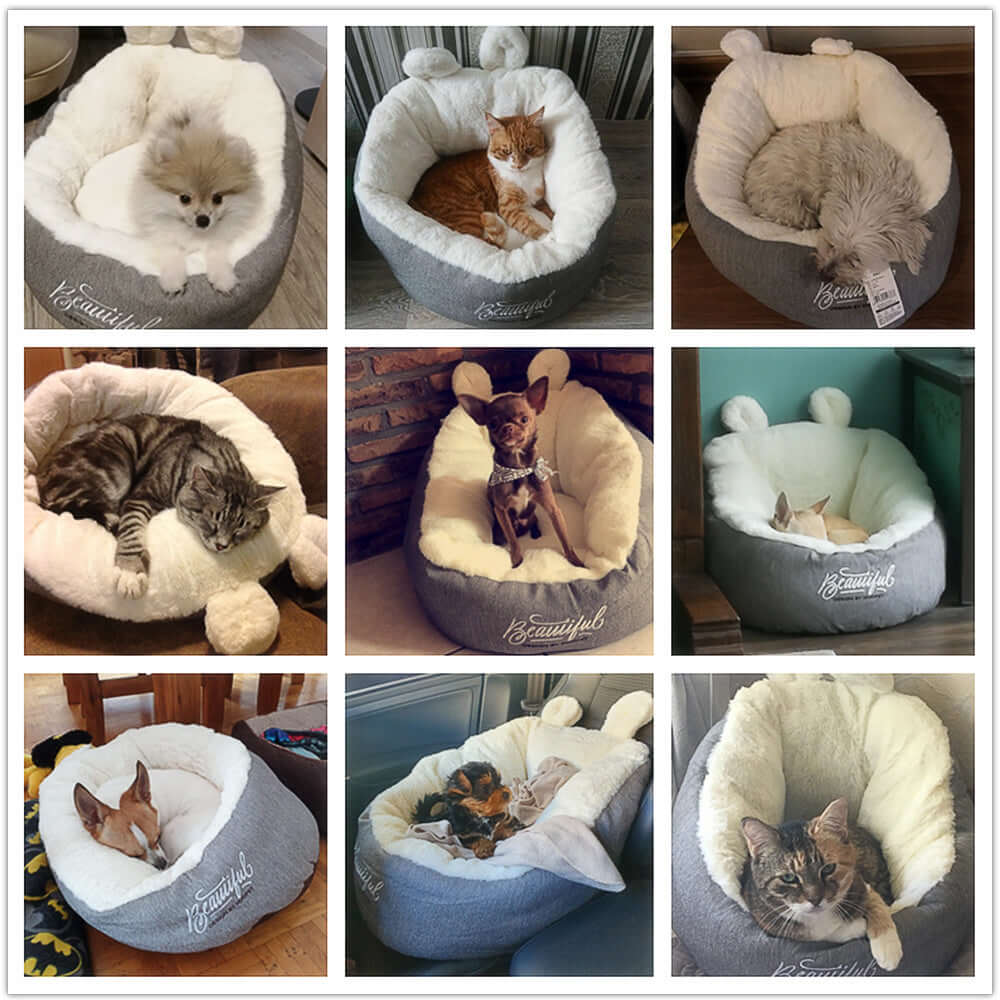 Lit Chauffant pour Chien et chat