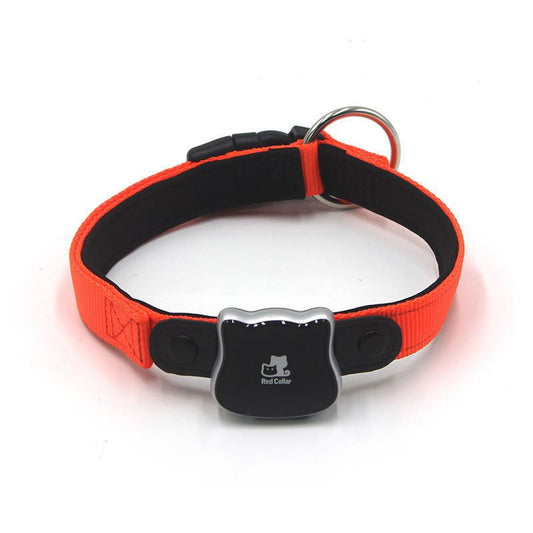 Collier GPS Intelligent