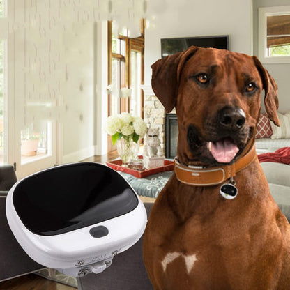 Mini Collier GPS Intelligent