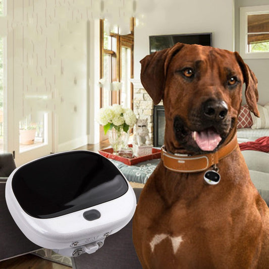 Mini Collier GPS Intelligent