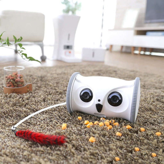 Jouet Électrique pour Chien en Forme de Hibou