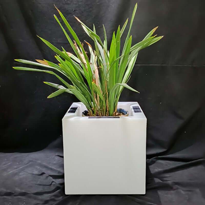 Lampe de jardin en plastique étanche