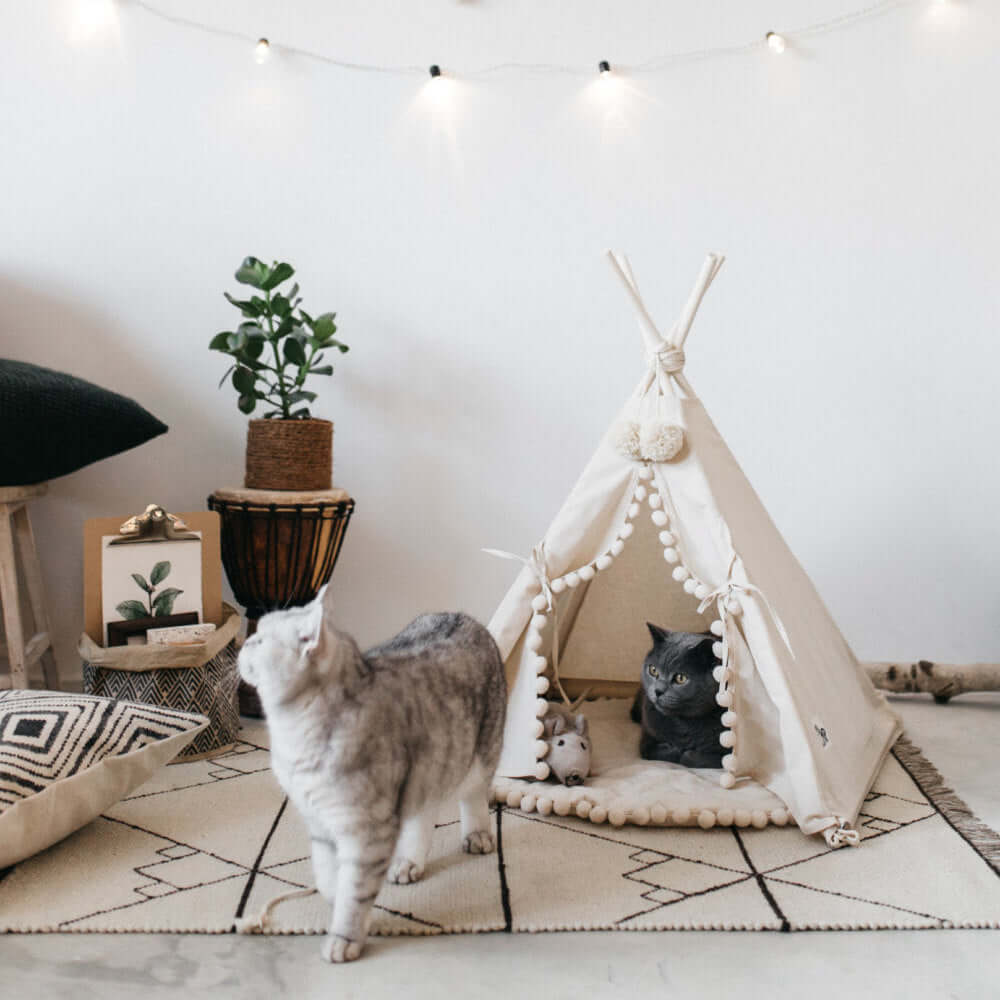 Tente-lit pour animaux