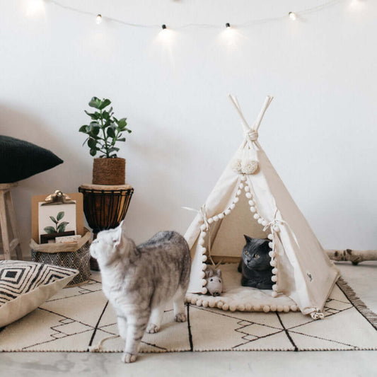 Tente-lit pour animaux