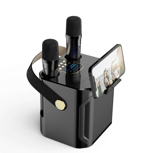Outdoor Karaoke Bluetooth Speaker, Dual Microphone, All-in-one