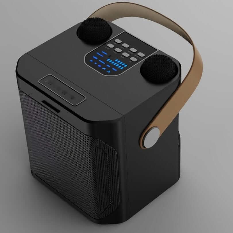 Outdoor Karaoke Bluetooth Speaker, Dual Microphone, All-in-one
