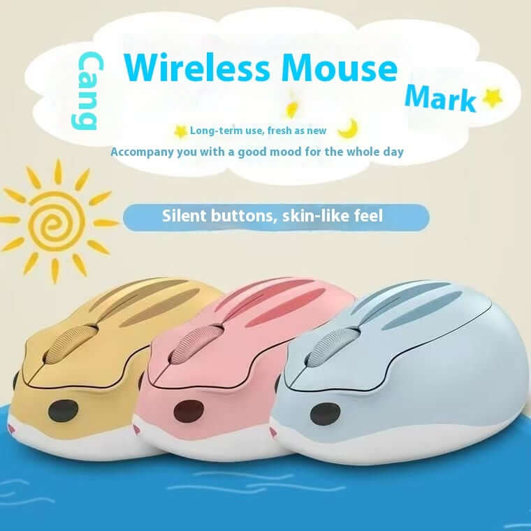 Souris Sans Fil Universelle Silencieuse