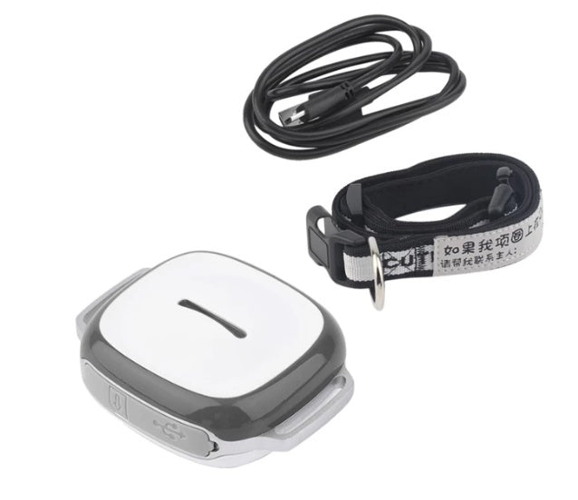 Collier GPS Intelligent pour Animaux