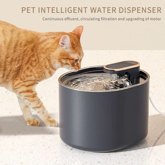 Automatic pet water fountain