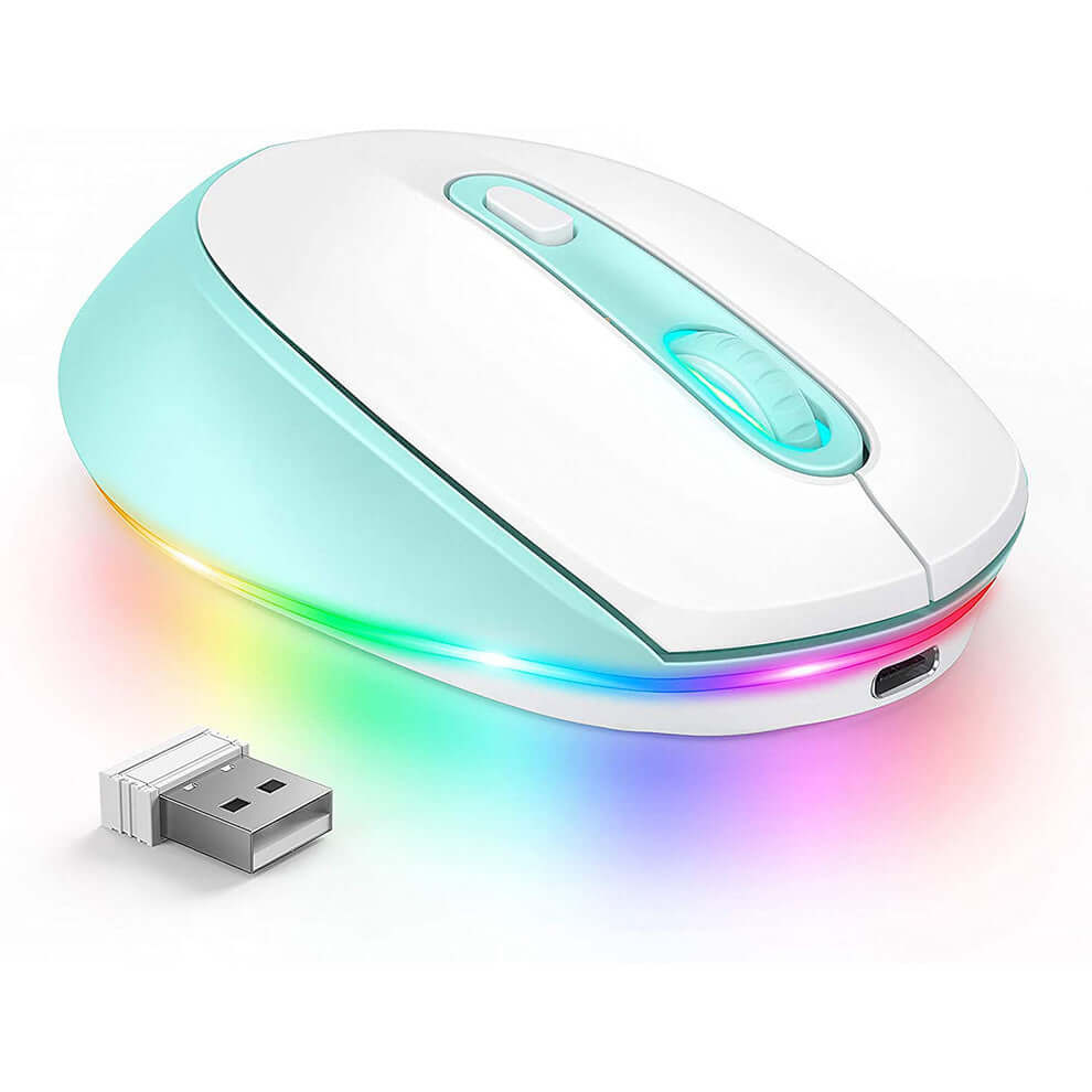 🖱️ Souris sans fil 24g – 1600 DPI