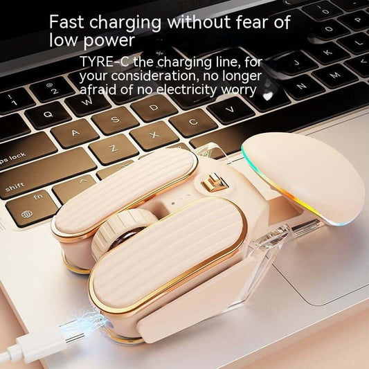 Souris Sans Fil Bluetooth Double Mode