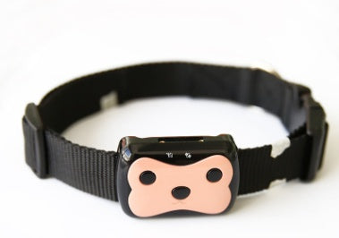 Pet Locator Smart HP01 – GPS ajustable pour animaux