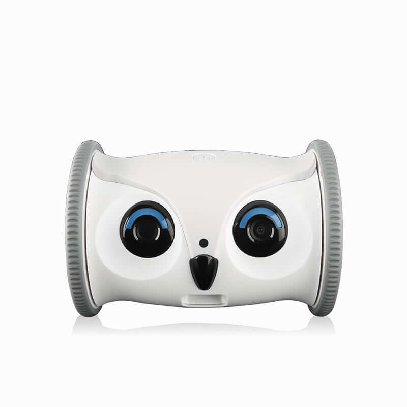 Jouet Électrique pour Chien en Forme de Hibou