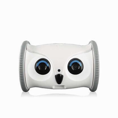 Jouet Électrique pour Chien en Forme de Hibou