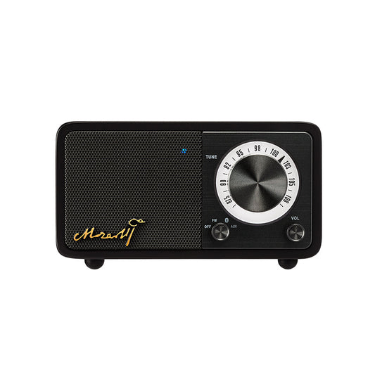 Haut-parleur Bluetooth portable
