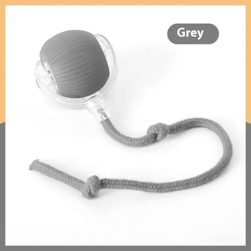 Jouet interactif pour chat Balle roulante Super Drive Cat Les Visionnaires