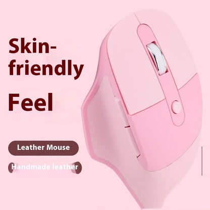 Souris ergonomique sans fil double mode – USB + Bluetooth