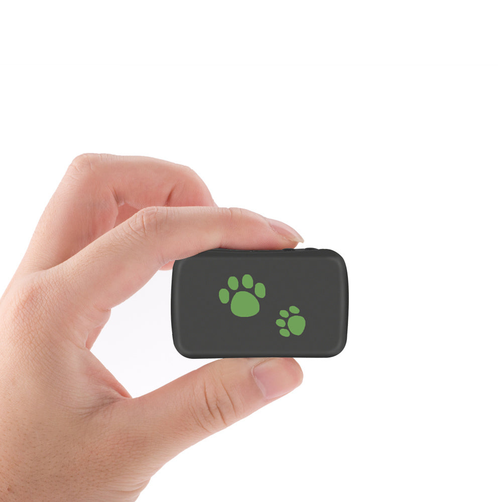 Traceur GPS Anti-Perte en PVC
