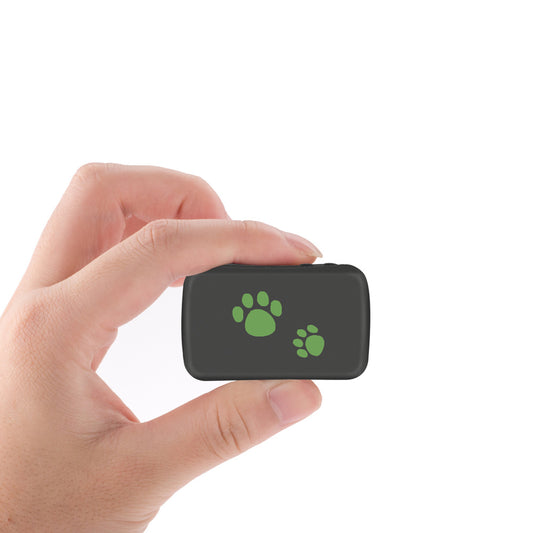 Traceur GPS Anti-Perte en PVC