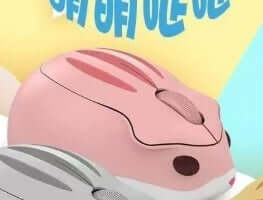 Souris Sans Fil Universelle Silencieuse
