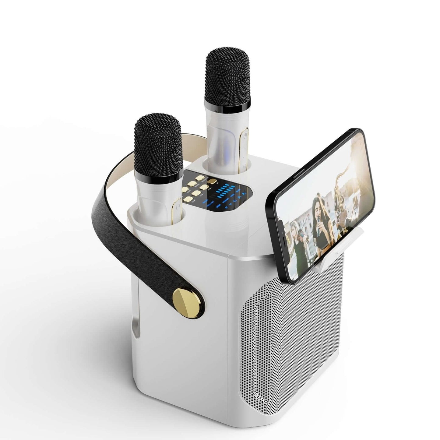 Outdoor Karaoke Bluetooth Speaker, Dual Microphone, All-in-one