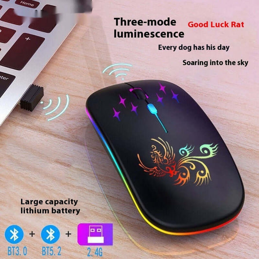 Souris Lumineuse Rechargeable