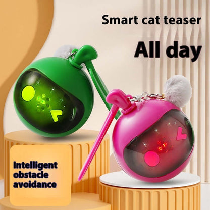 Jouet élastique interactif pour chat