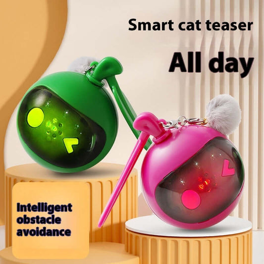 Jouet élastique interactif pour chat