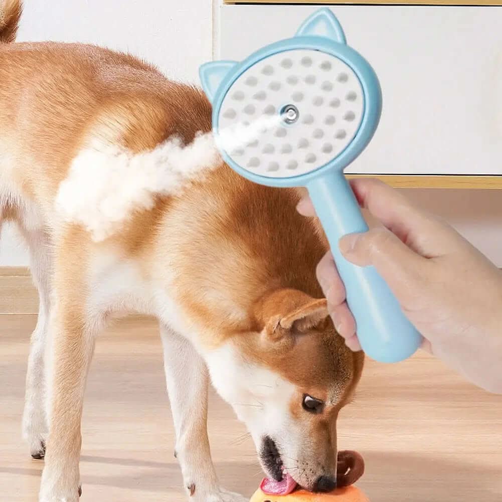 Brosse de nettoyage avec brumisateur pour animaux Les Visionnaires