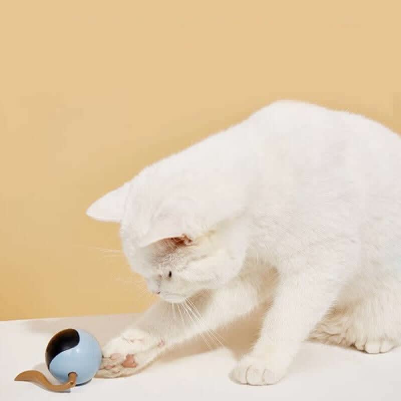 Balle rotative LED colorée interactive Pet Smart Les Visionnaires