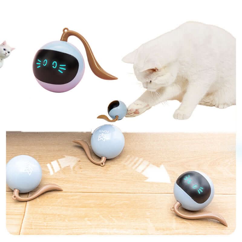 Balle rotative LED colorée interactive Pet Smart Les Visionnaires