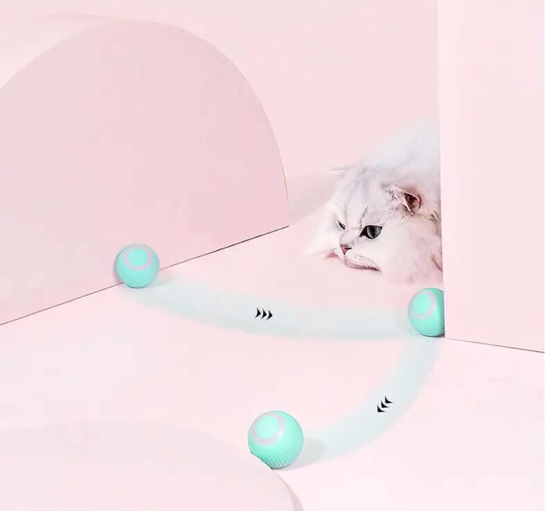 Cat Gravity Intelligent Rolling Ball Tease Toy Les Visionnaires