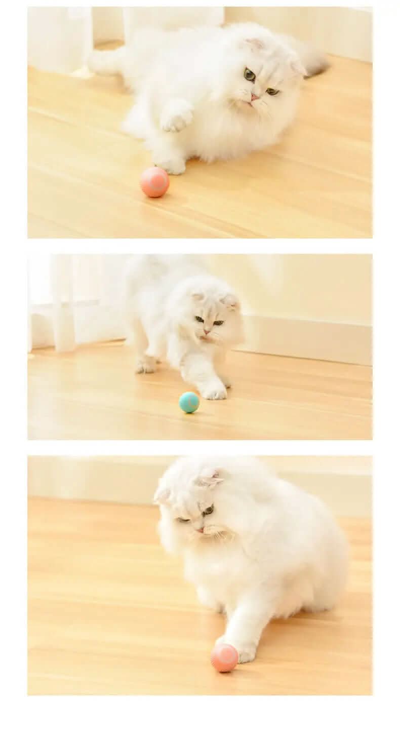 Cat Gravity Intelligent Rolling Ball Tease Toy Les Visionnaires