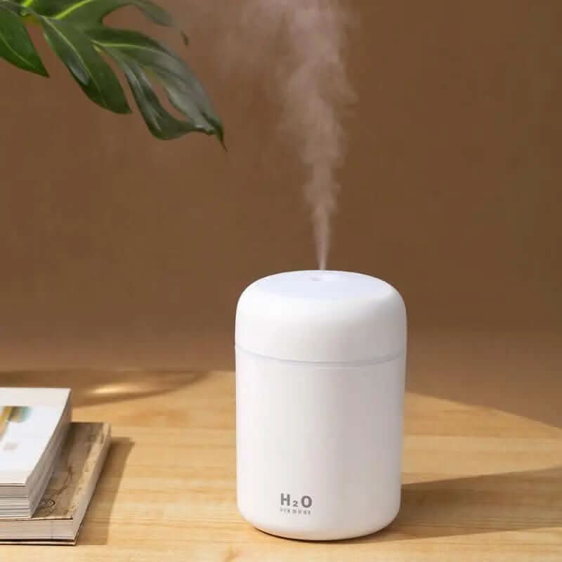 Mini humidificateur USB silencieux Les Visionnaires