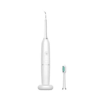 Brosse à Dents Électrique Ultrasonique Les Visionnaires