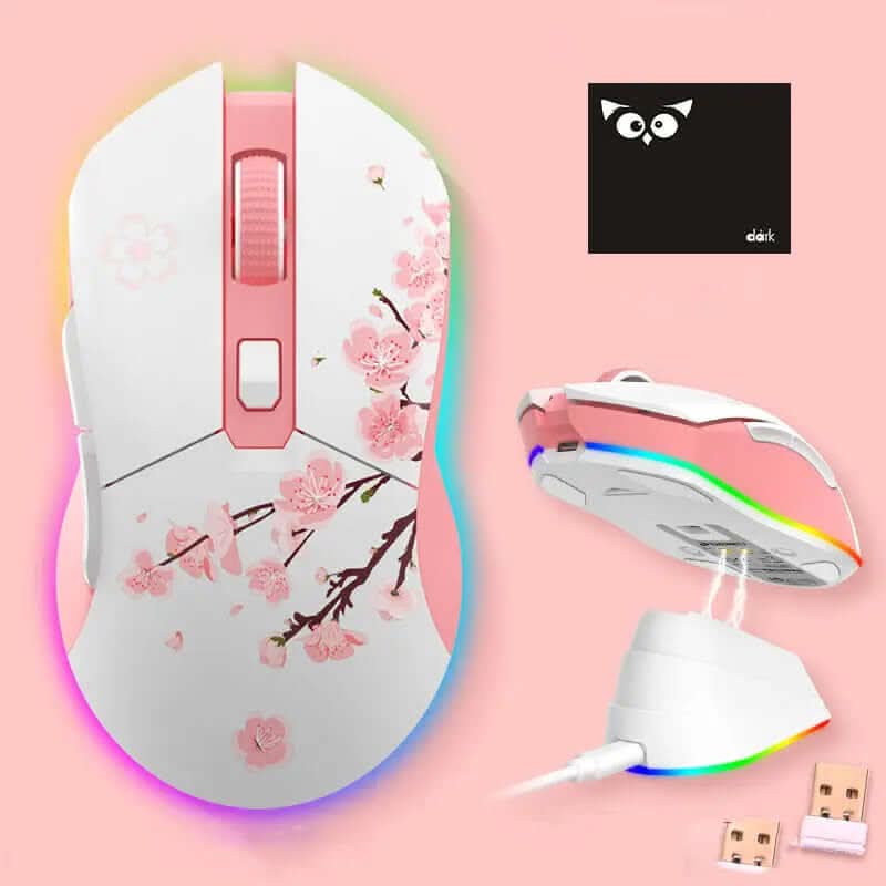 Souris de jeu sans fil et filaire Les Visionnaires