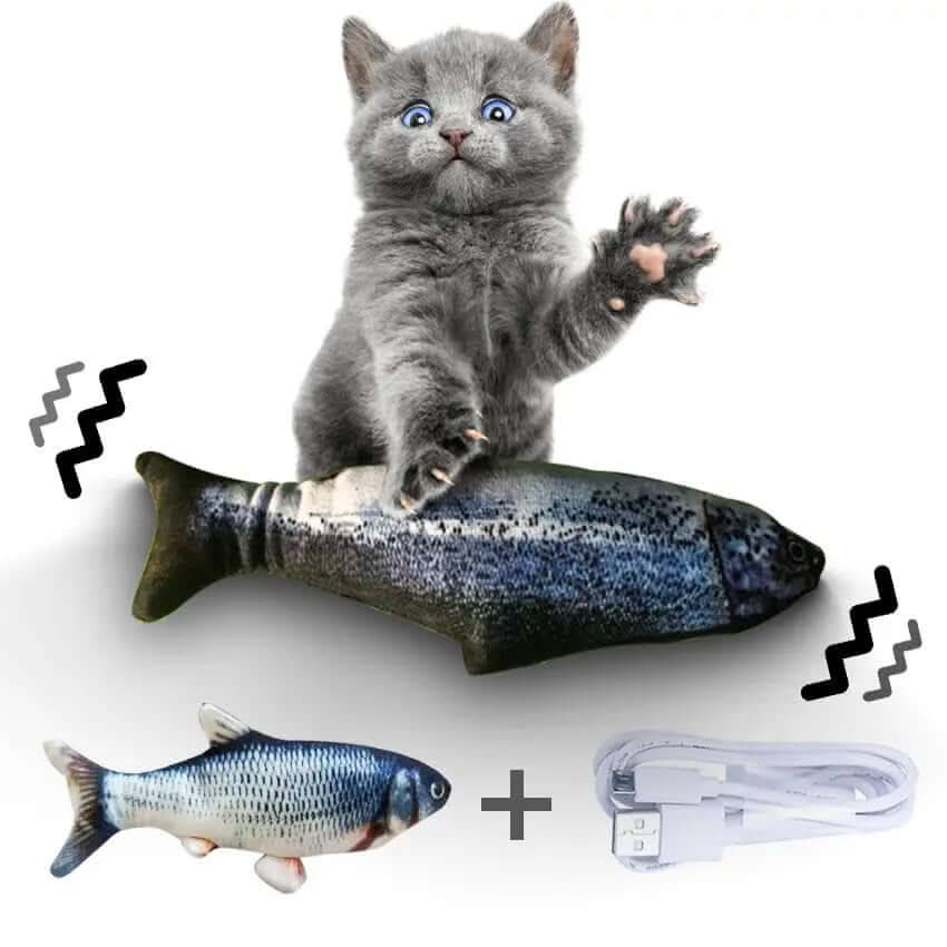 Poisson électrique interactif sans herbe à chat Les Visionnaires