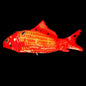 Poisson électrique interactif sans herbe à chat Les Visionnaires